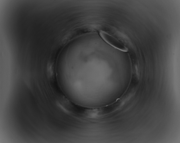 X0000100780131200806191311