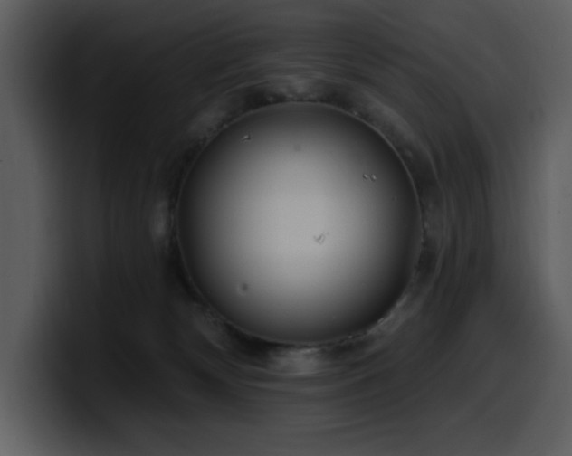 X0000100780132200806191311