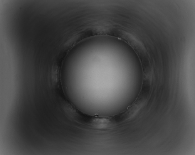 X0000100780133200806191311