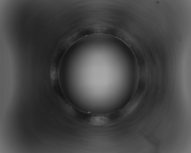 X0000100780137200806191311