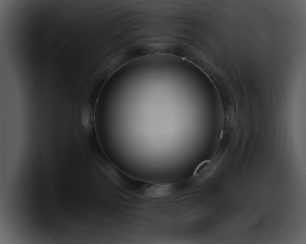 X0000100780138200806191311