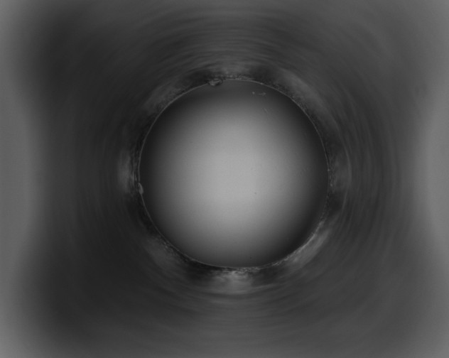 X0000100780140200806191310