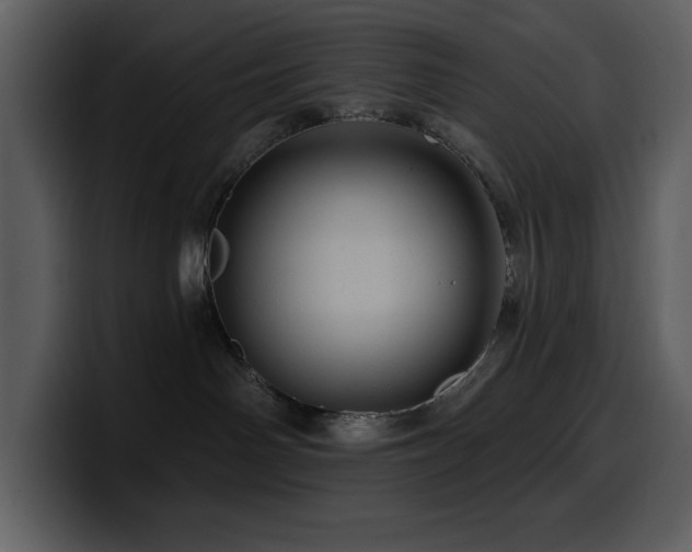 X0000100780142200806191310