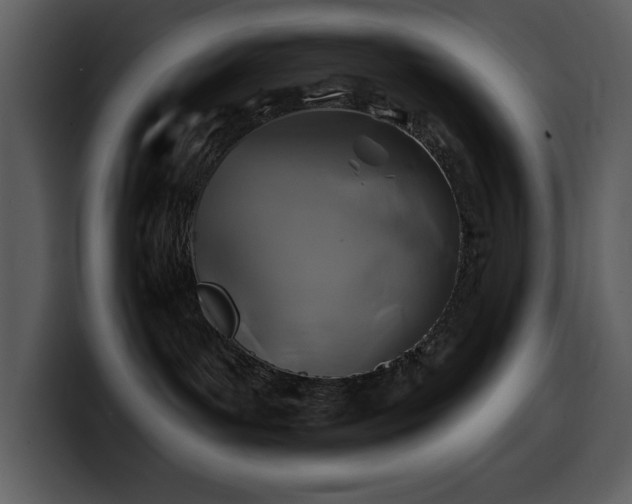 X0000100780143200806191310