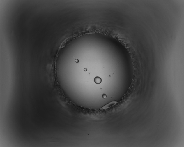 X0000100780144200806191310