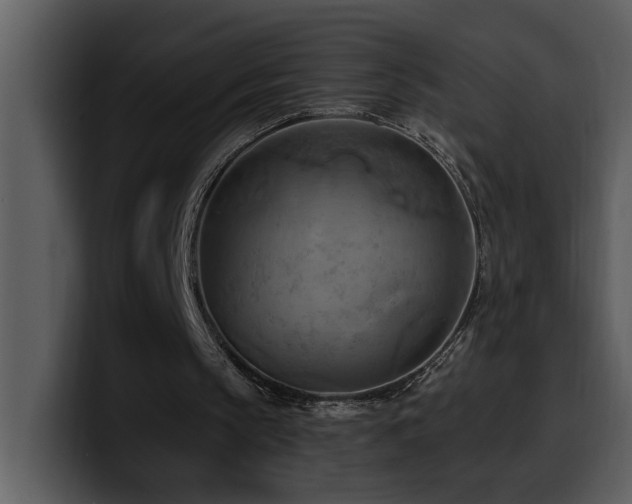 X0000100780145200806191310