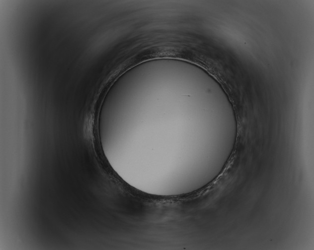 X0000100780146200806191310