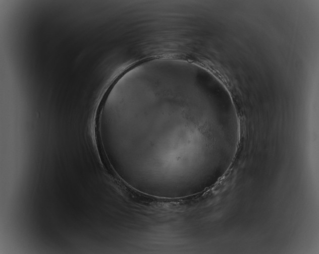 X0000100780147200806191310