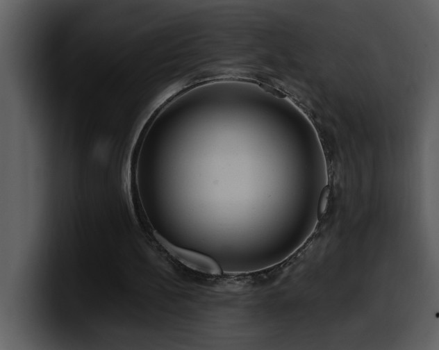 X0000100780148200806191310