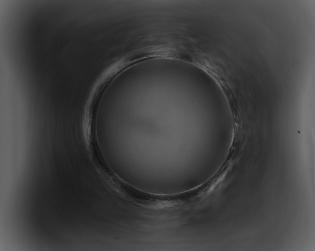 X0000100780149200806191310