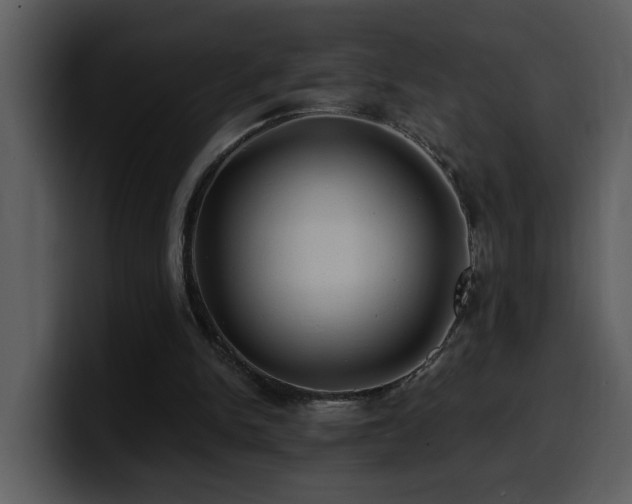 X0000100780150200806191310