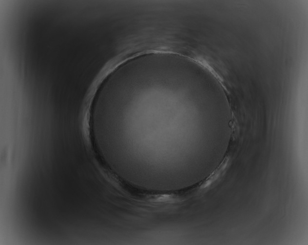 X0000100780151200806191310