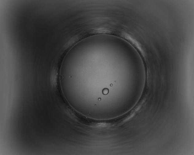 X0000100780153200806191310