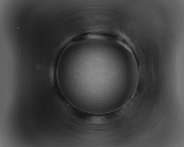 X0000100780154200806191310