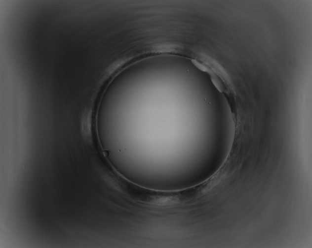 X0000100780155200806191310