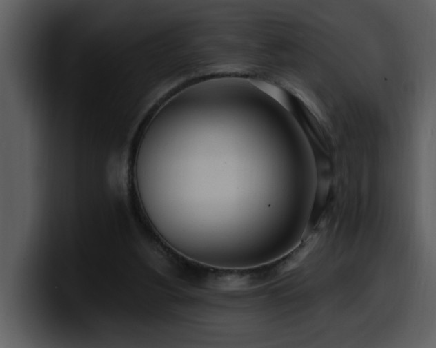 X0000100780156200806191310