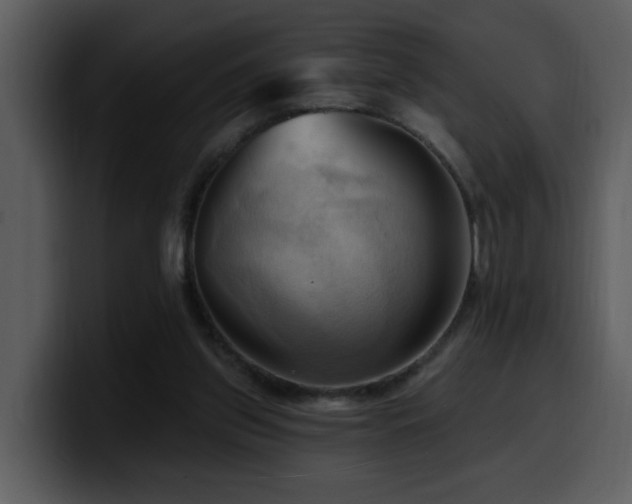 X0000100780157200806191310