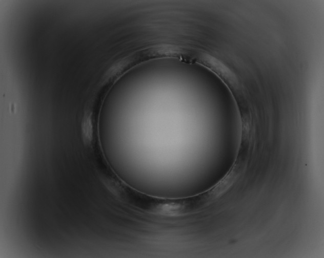 X0000100780158200806191310