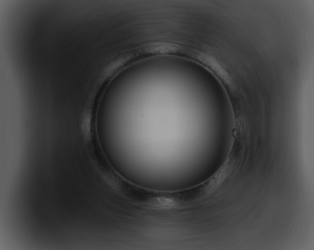 X0000100780159200806191310