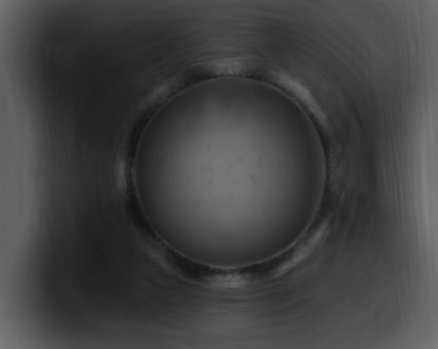 X0000100780161200806191310