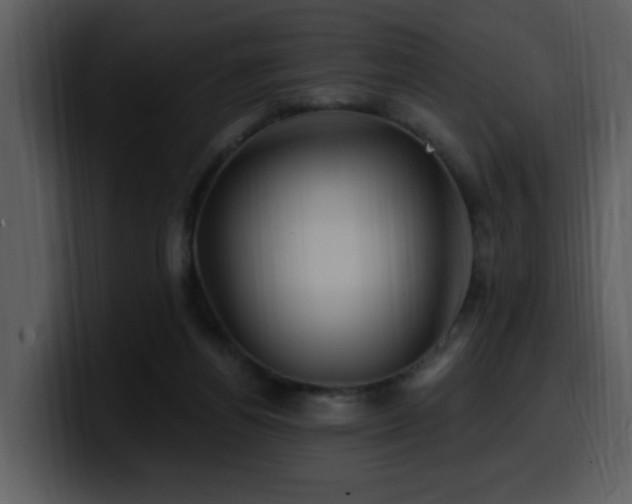 X0000100780164200806191310