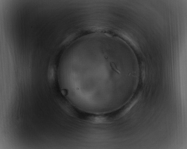 X0000100780165200806191310