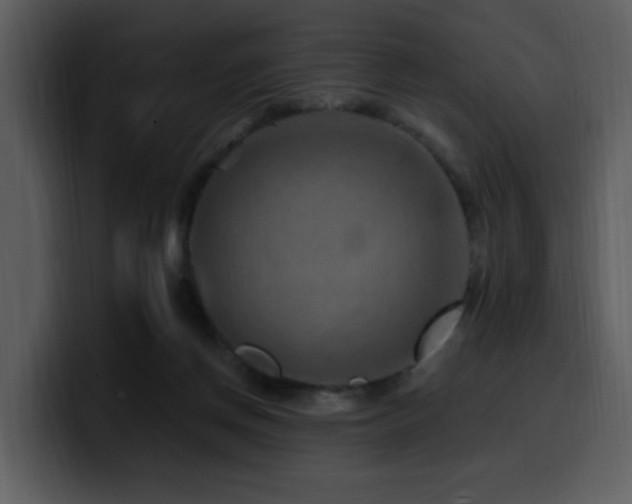 X0000100780166200806191310