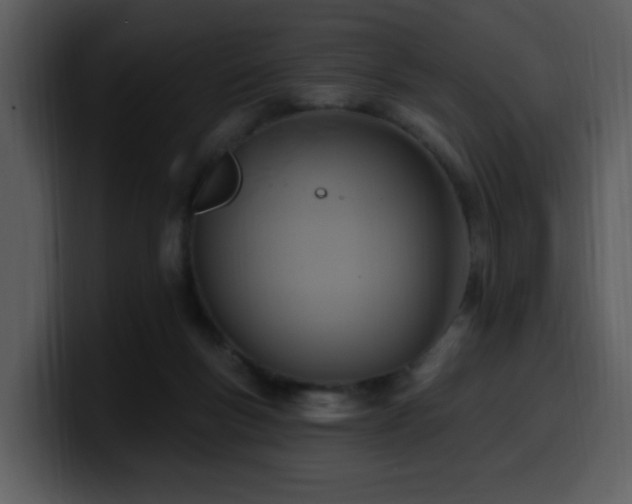 X0000100780167200806191310