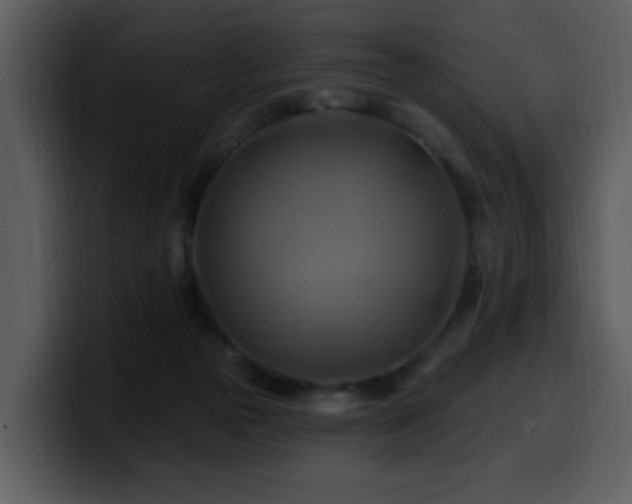 X0000100780169200806191310