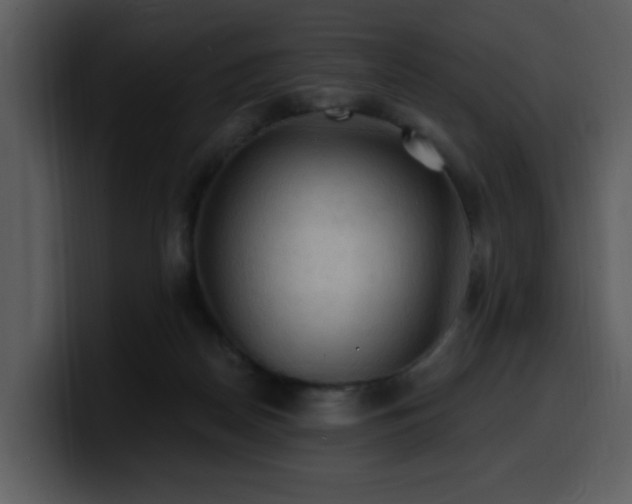 X0000100780170200806191310