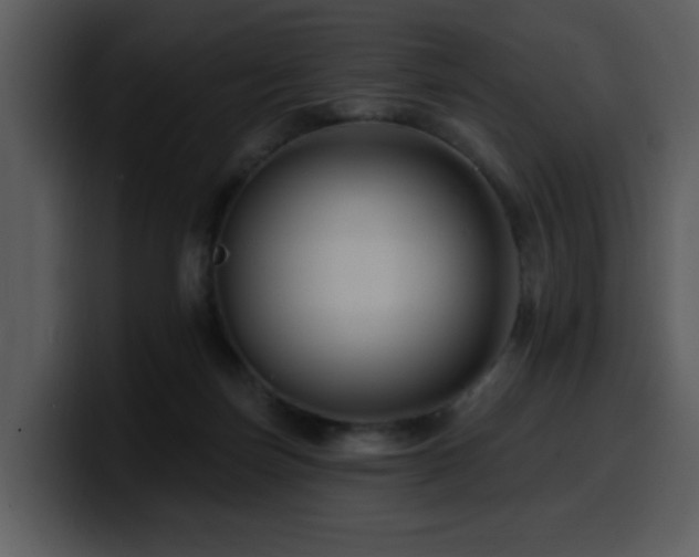 X0000100780171200806191310