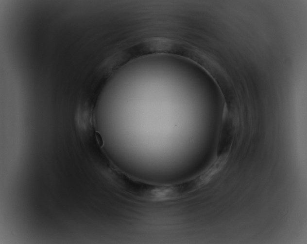 X0000100780172200806191310