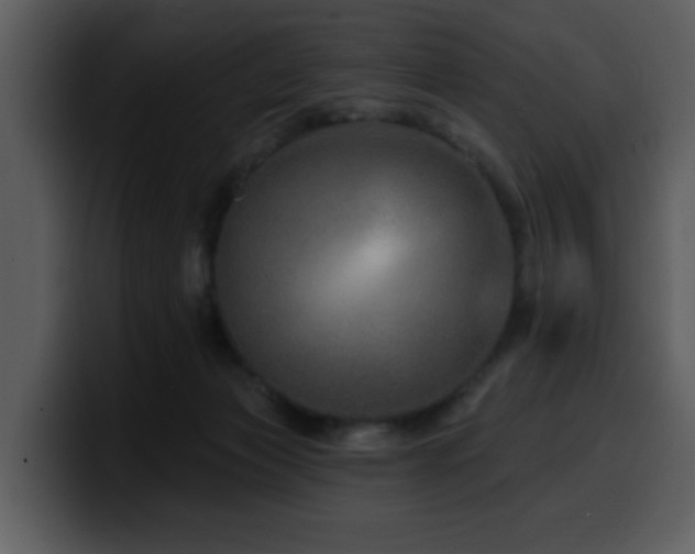 X0000100780173200806191310