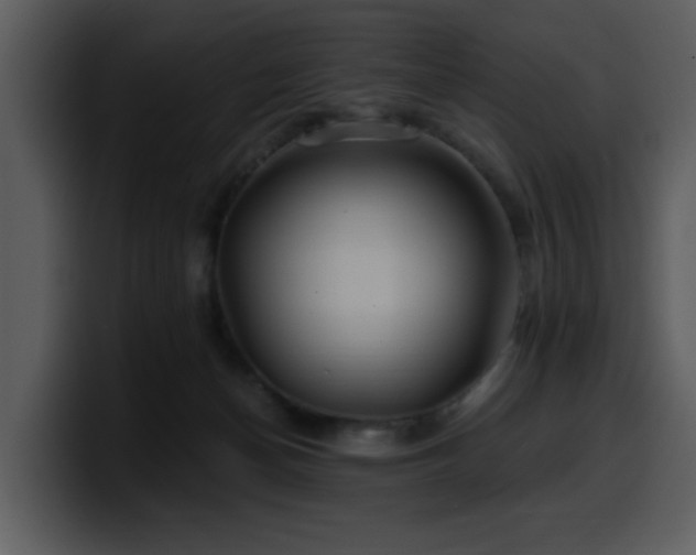 X0000100780174200806191310