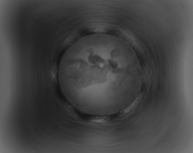 X0000100780175200806191310