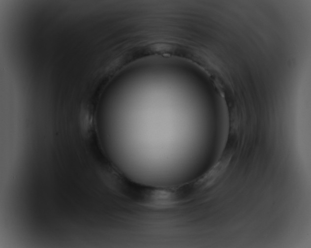 X0000100780176200806191310