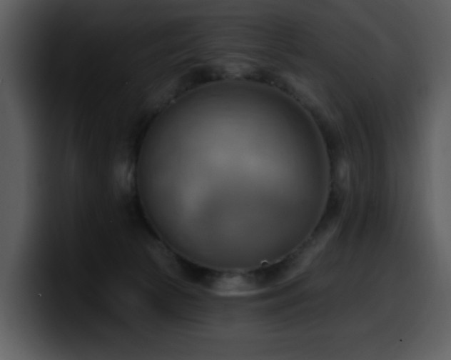 X0000100780177200806191310