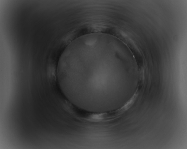 X0000100780178200806191310