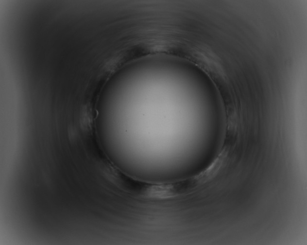 X0000100780179200806191310