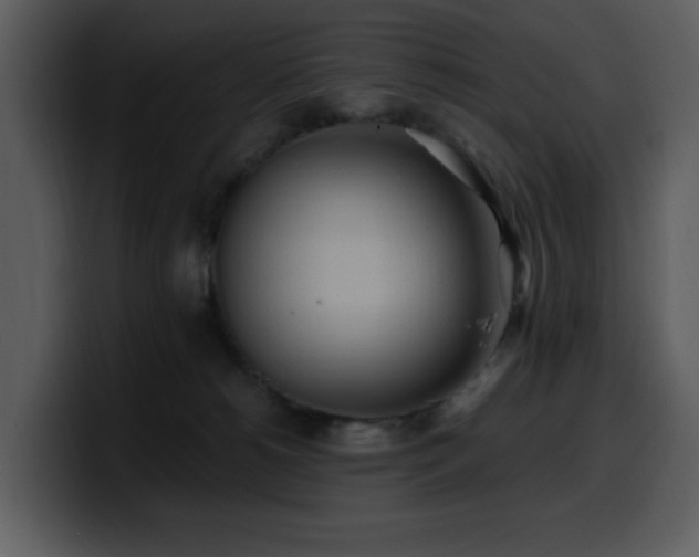 X0000100780180200806191310