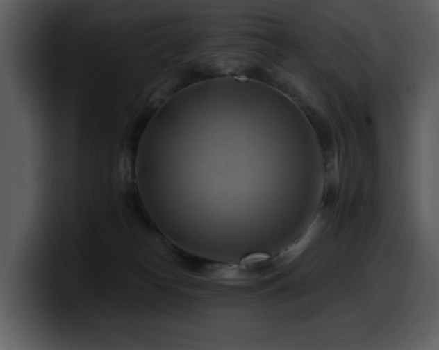 X0000100780182200806191310