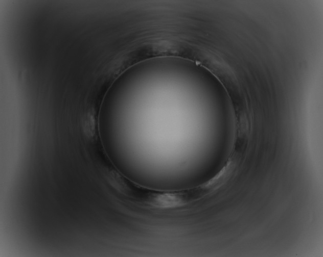 X0000100780183200806191310