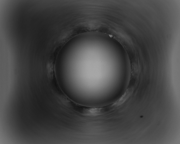 X0000100780184200806191310