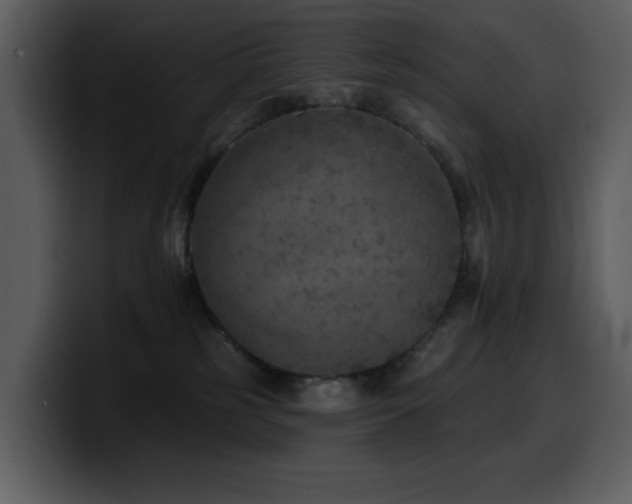 X0000100780185200806191310