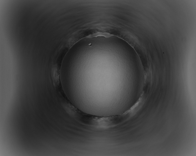 X0000100780186200806191310