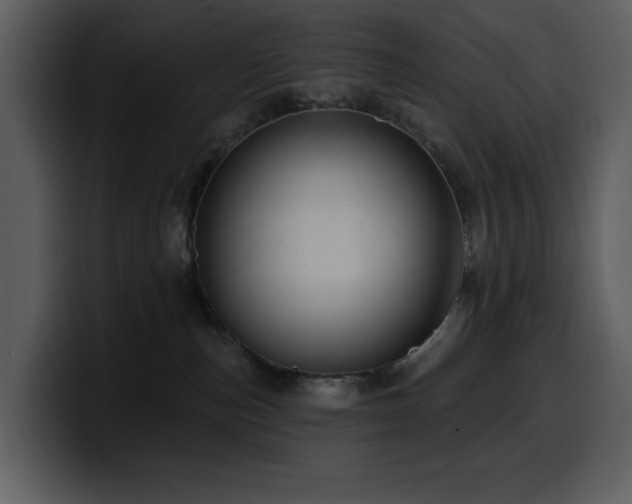 X0000100780187200806191310