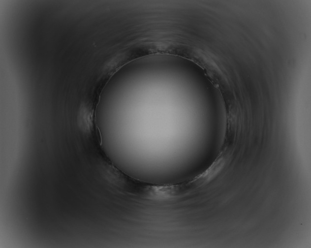 X0000100780188200806191310