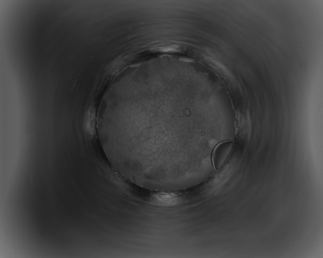 X0000100780189200806191310