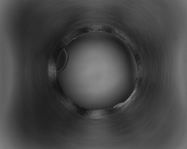 X0000100780191200806191310