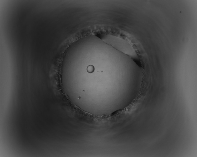 X0000100780192200806191310